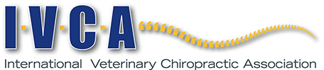 Chiropractic for Pets in Lincoln, NE